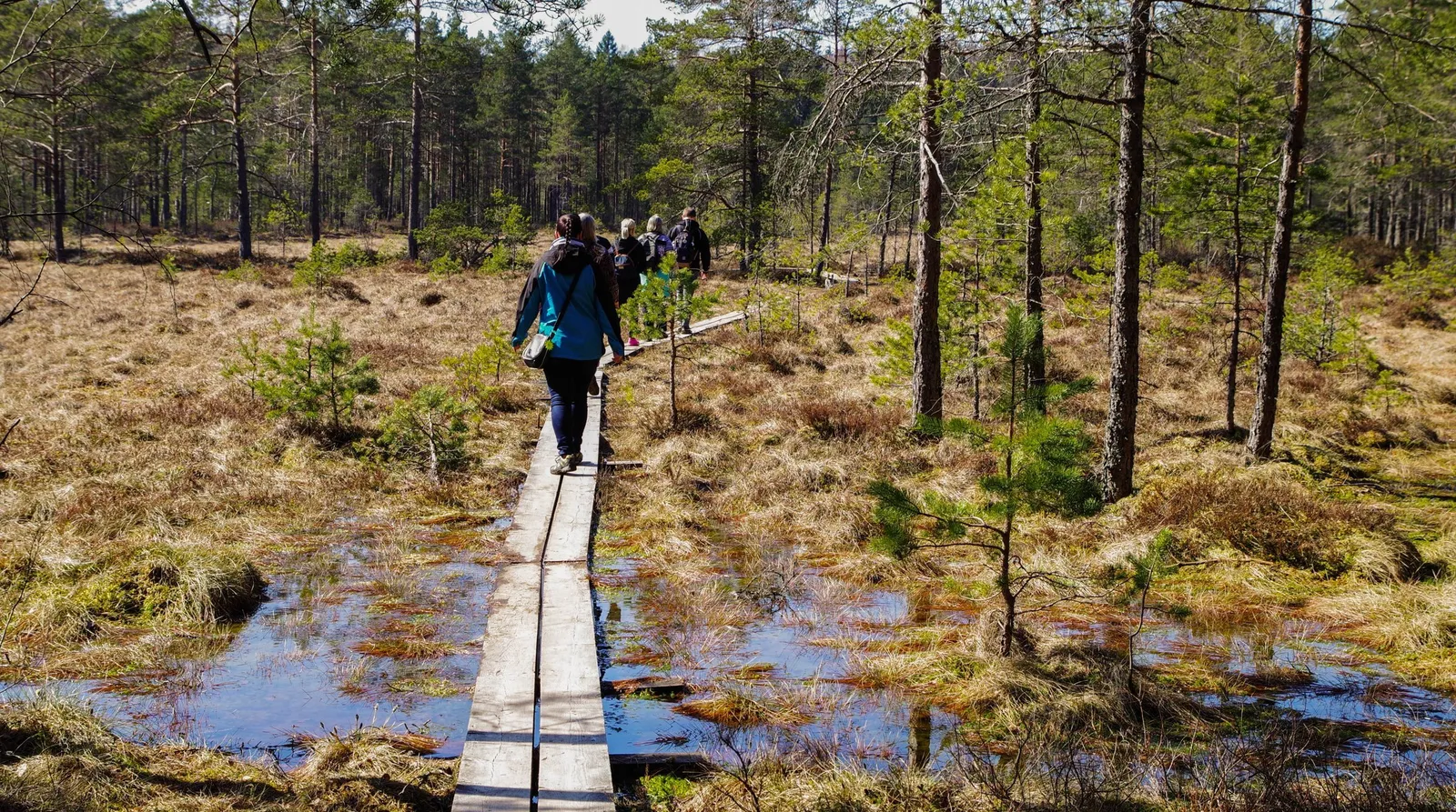 Naturvandring