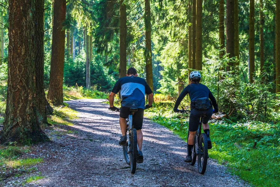 Två cyklister på en skogsstig